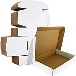 GS155 SAKPHIL Best Shipping & Packaging Cartoon Boxes for Small Busniess | Size 25x20x7cm & 60 x 40 x 22 cm